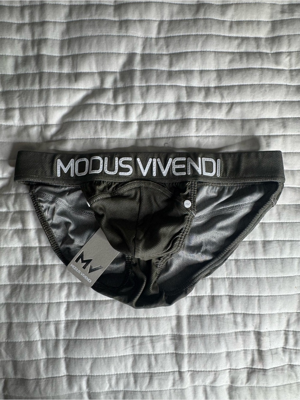 MODUS VIVENDI Men's Performance Briefs with Branded Waistband